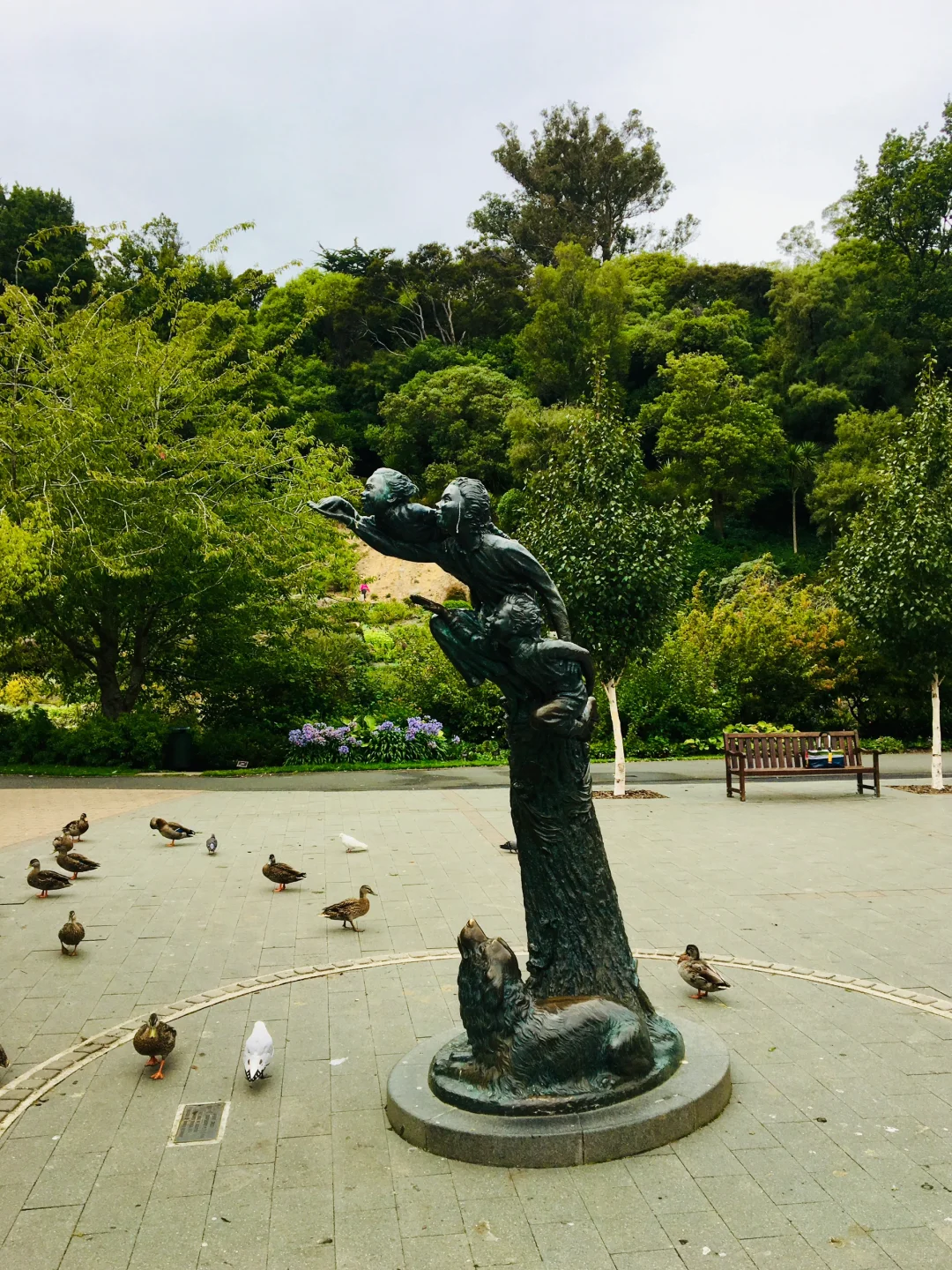 🇳🇿 新西兰达尼丁 Dunedin, New Zealand