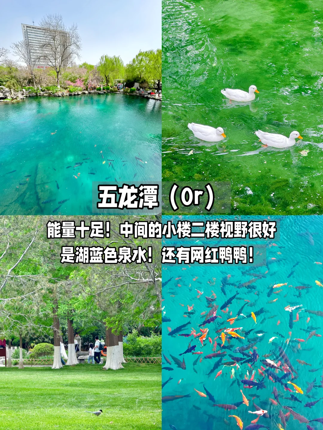 济南两天一夜不走回头路!保姆级攻略…✔️