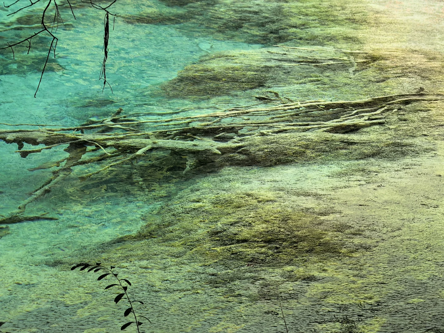 不用匆匆忙忙早起赶九寨沟！