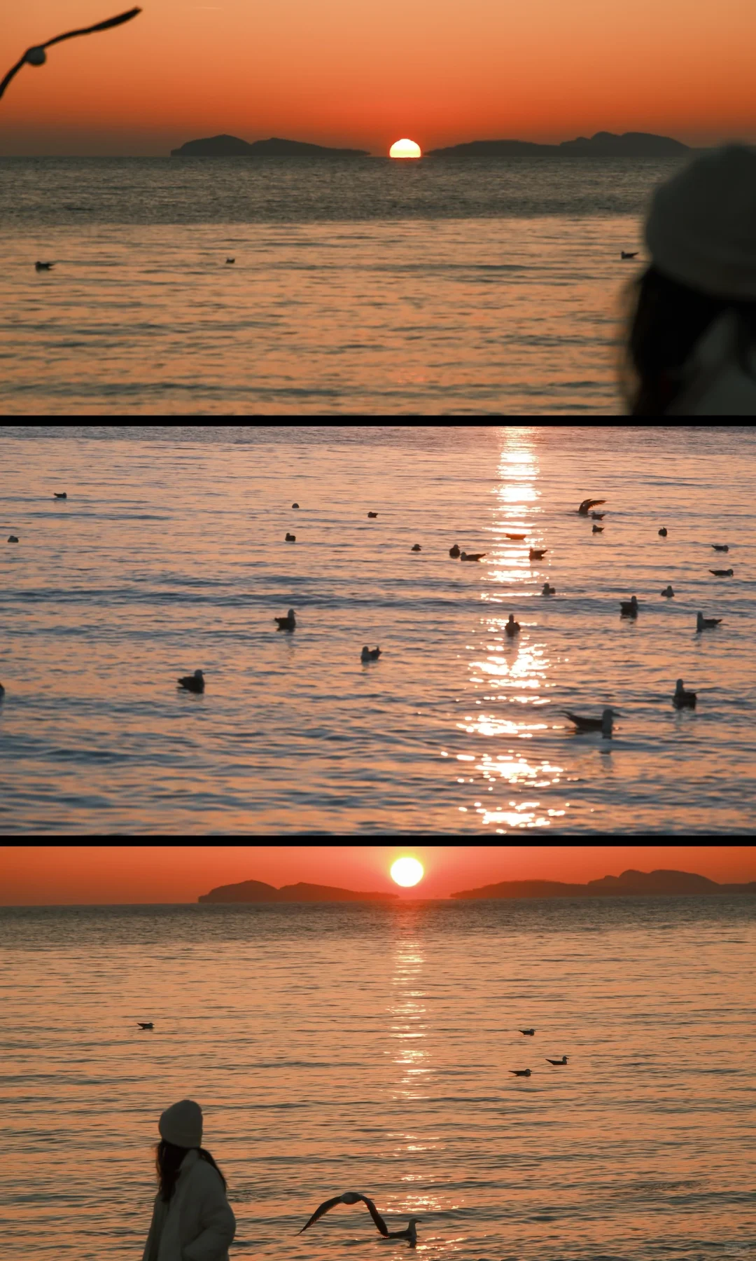 接下来的大连🌊