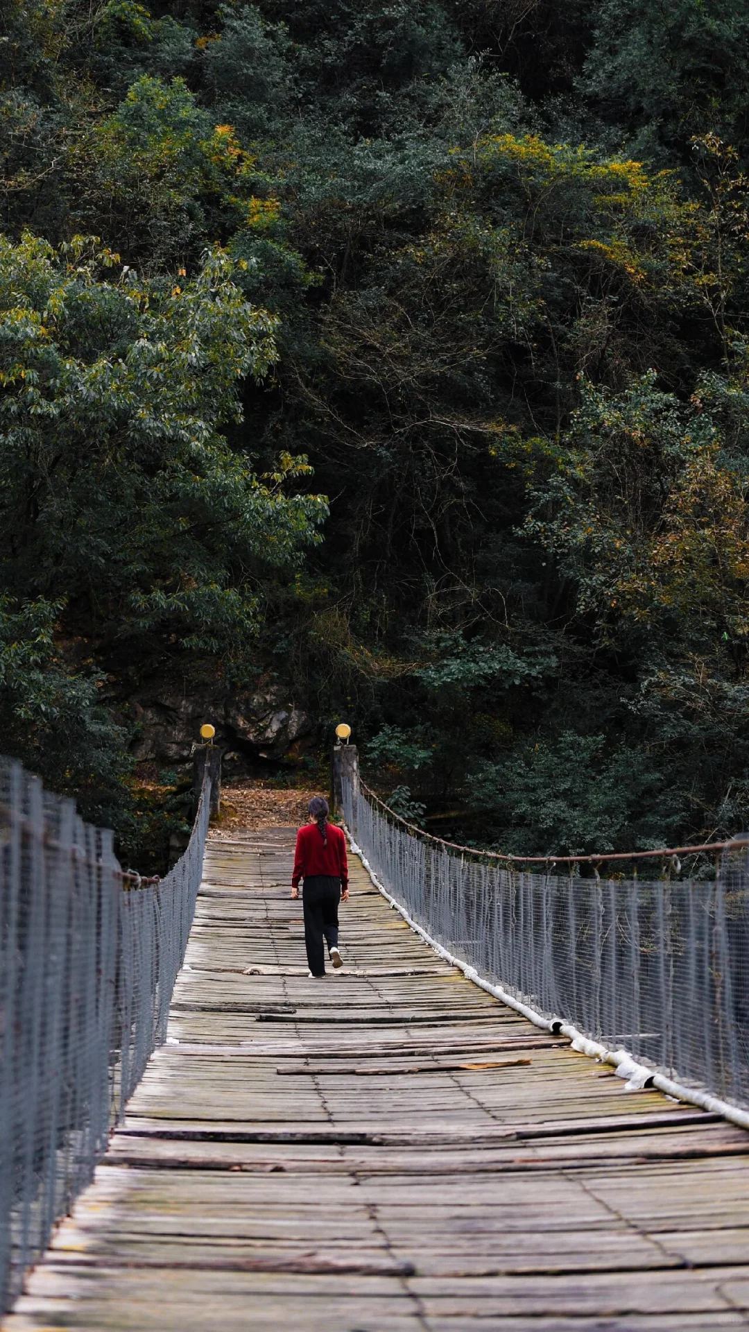 走吧！去看秋天的红叶！
