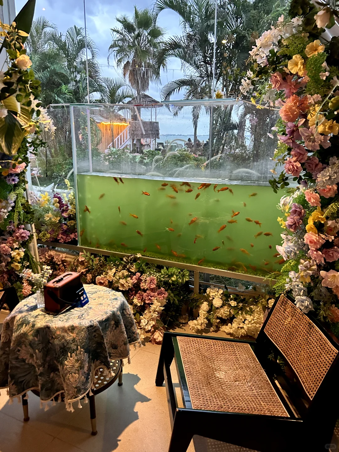 谁懂啊！这是在厦门！！不是在国外