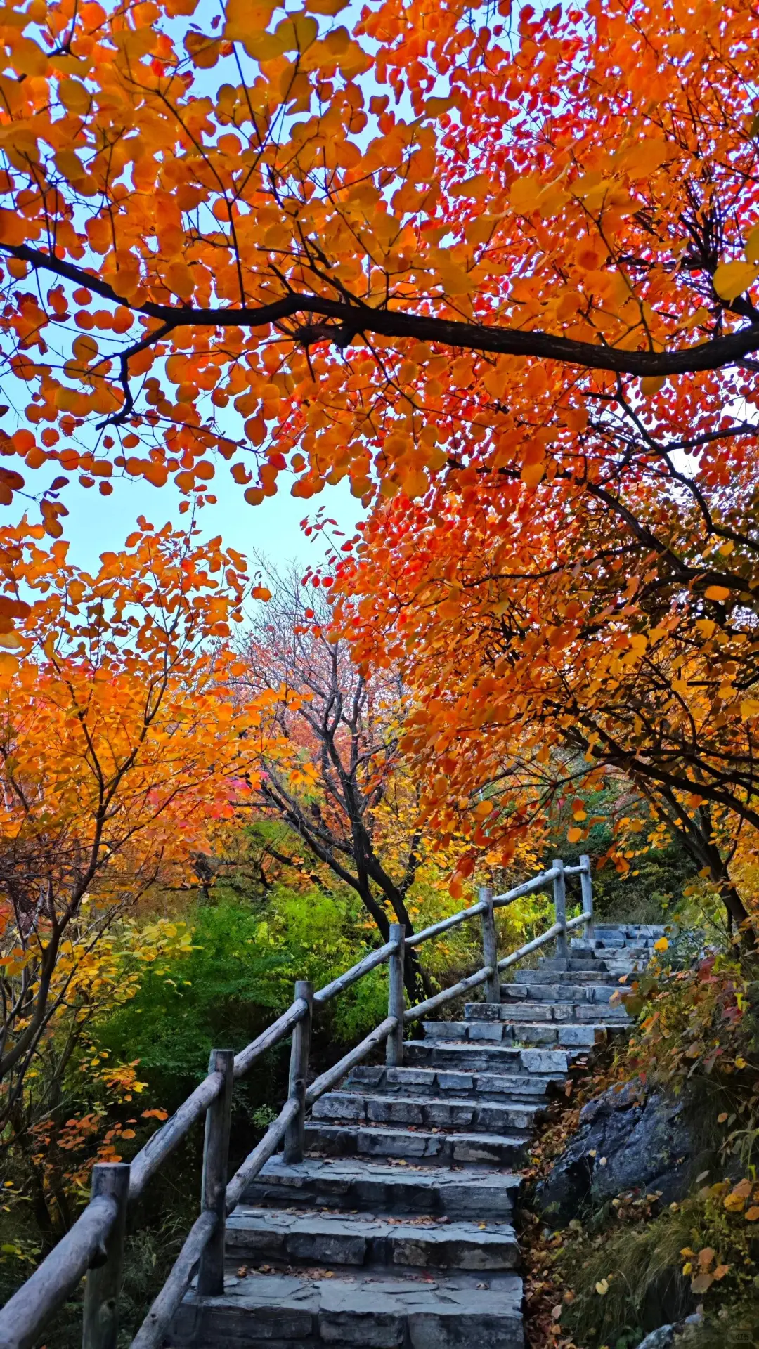 每周一山，本次打卡坡峰岭~附攻略
