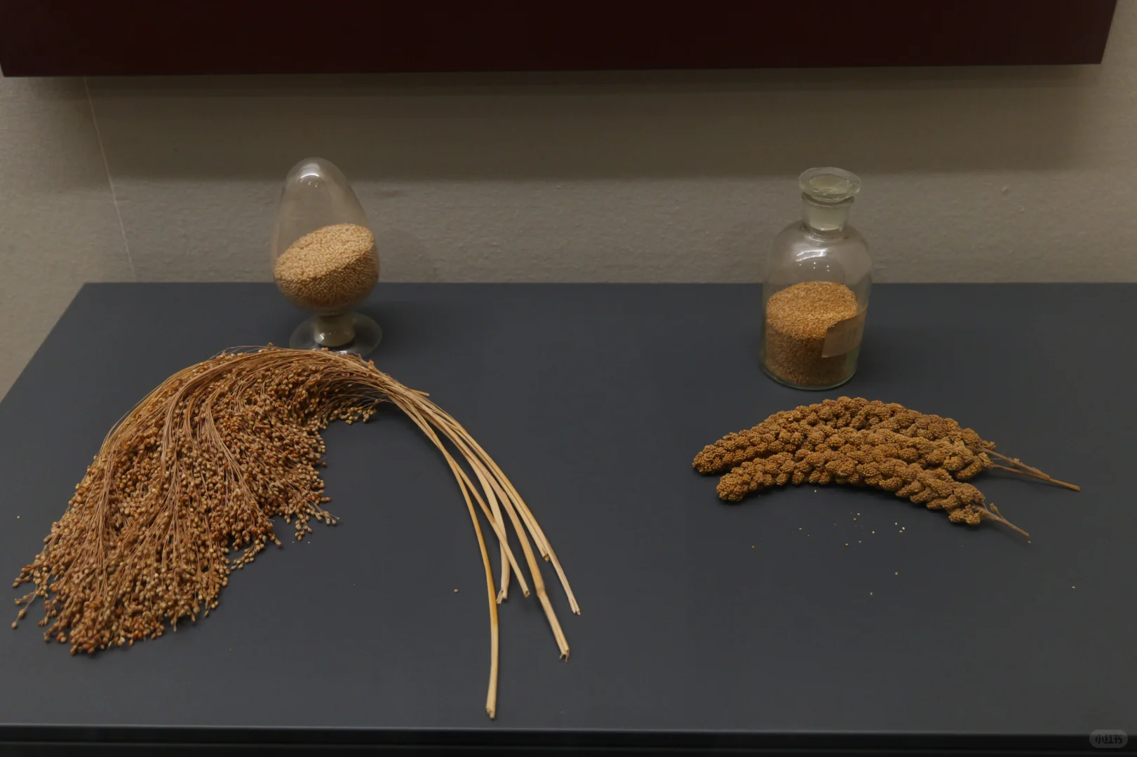 邯郸·中国磁山文化遗址博物馆