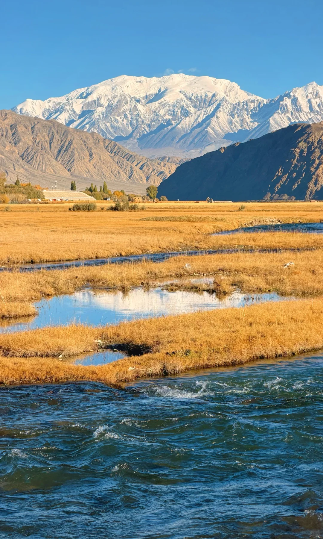 全屏live | 南疆秋天最好的地方都是免费的