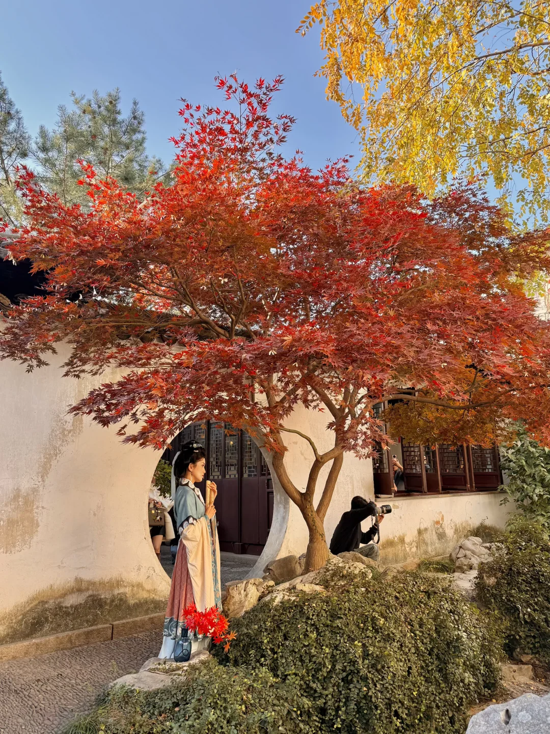 18张live图🍁告诉你苏州秋天有多美！！！！！！！