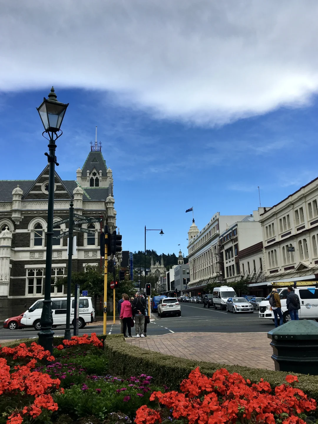 🇳🇿 新西兰达尼丁 Dunedin, New Zealand