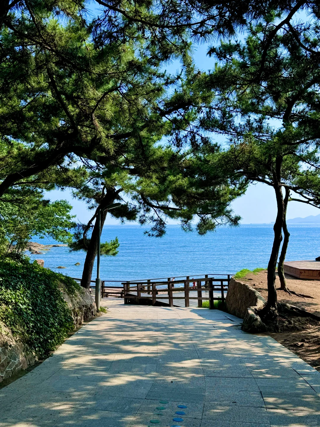 青岛真正好的地方都是免费的(合集)