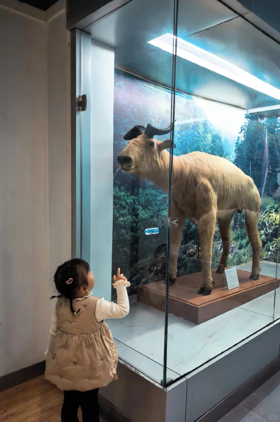 走吧！去看秋天的红叶！