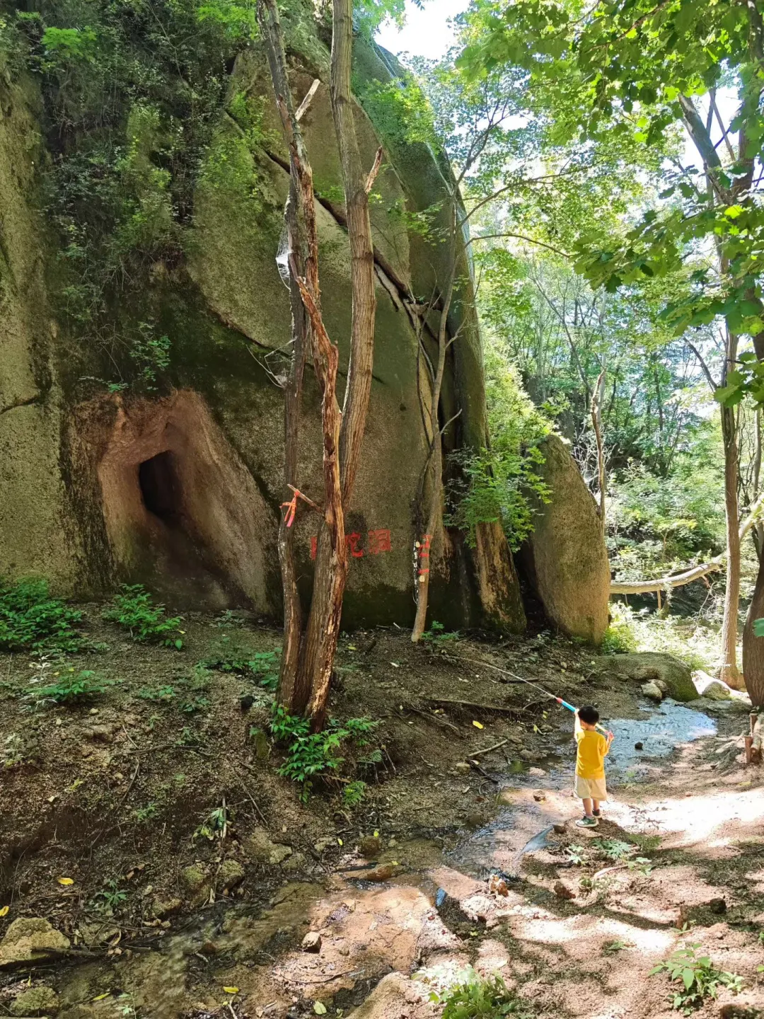 3岁坚持每周一山后，真的后悔了！附攻略