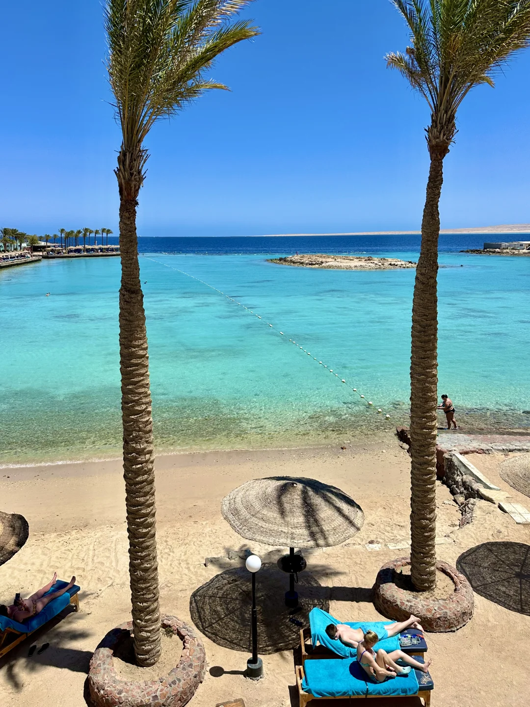 埃及赫尔格达躺平2天live实况｜度假天堂🏖️