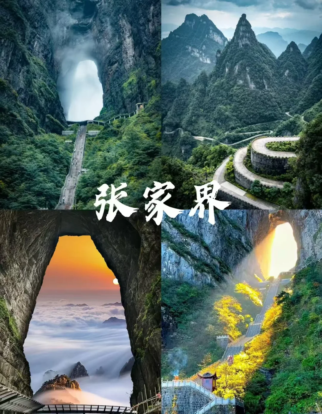 8 - 9 月旅行必去的八大城市🎈