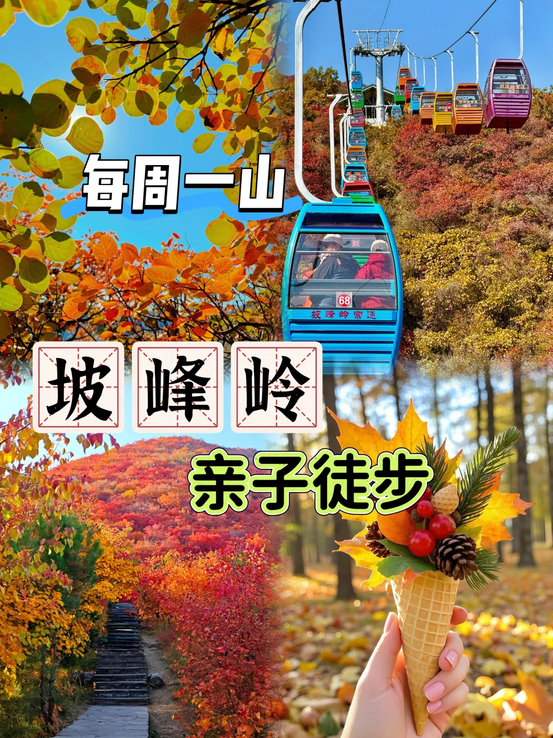 每周一山，本次打卡坡峰岭~附攻略
