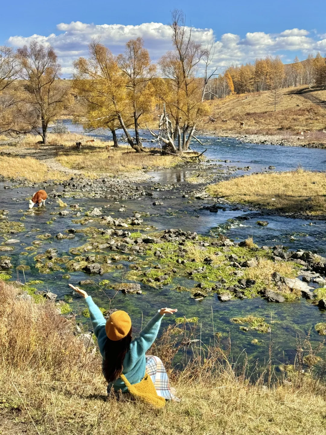 📍阿尔山！18张神级人生live！🥺太美了……