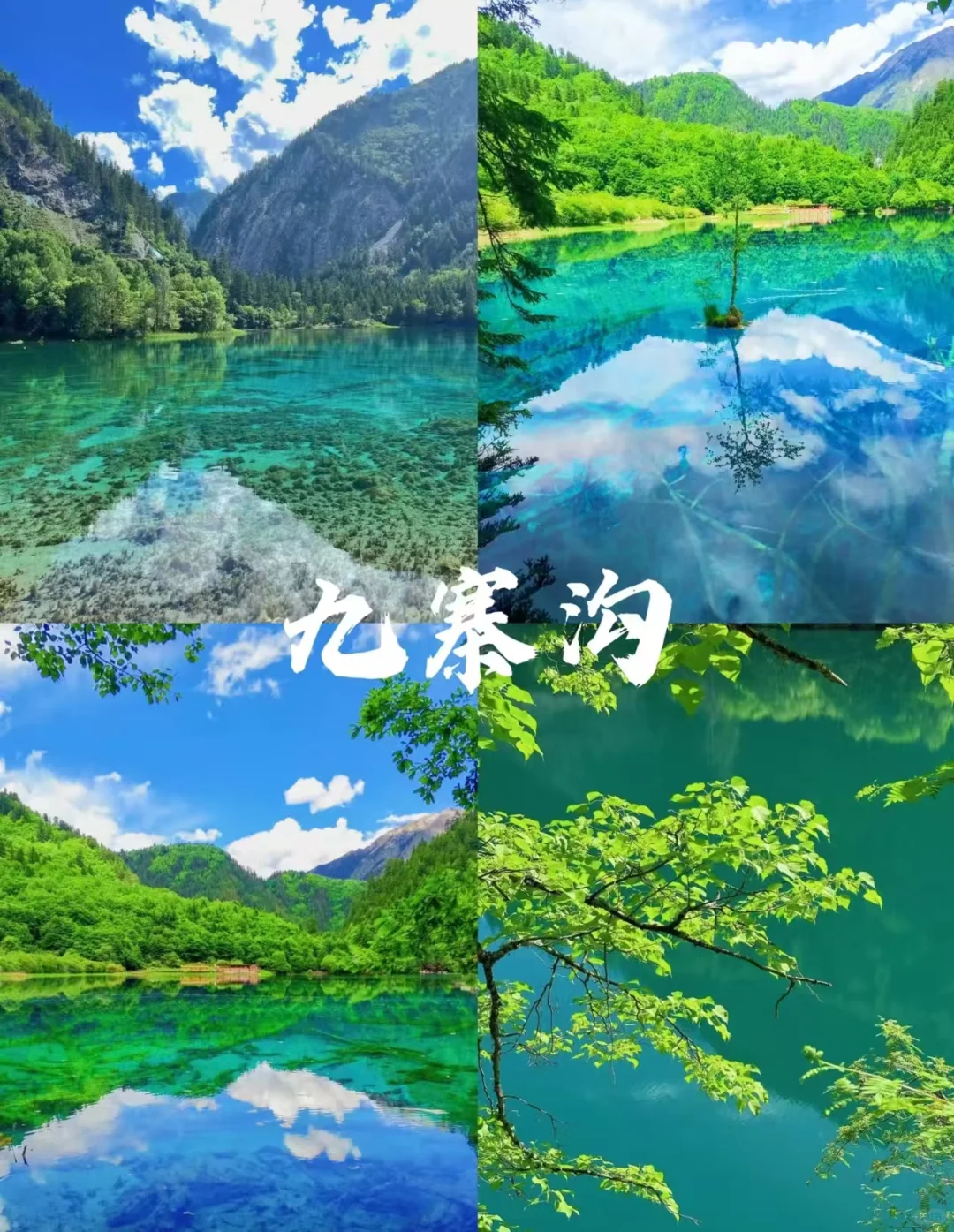 8 - 9 月旅行必去的八大城市🎈