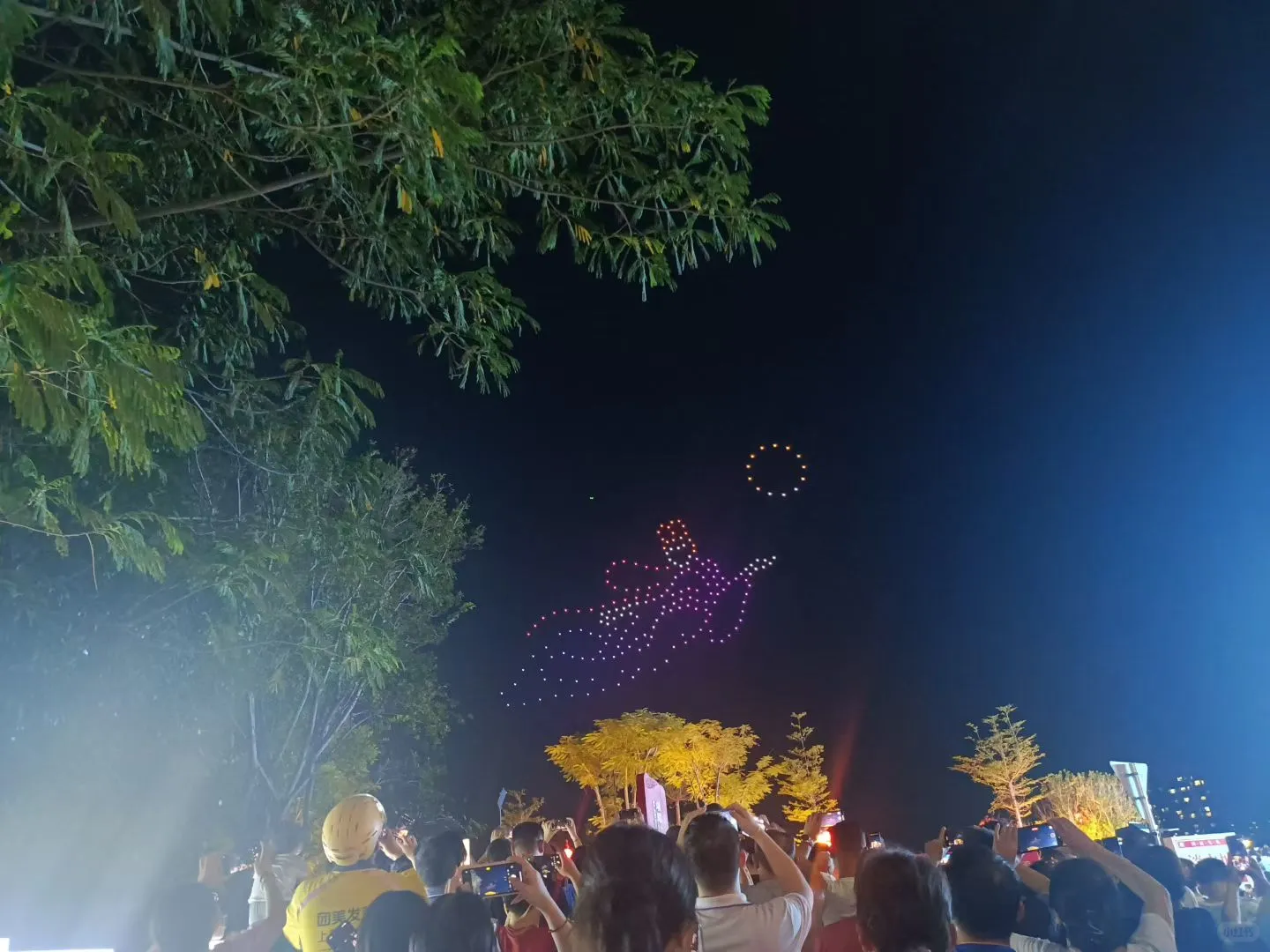 灯汇天下，龙舞盐都