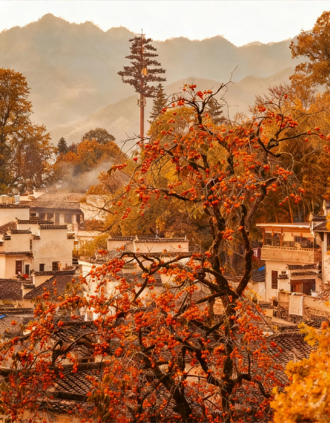 【皖南秋色天花板🍁】3天2晚保姆级攻略！