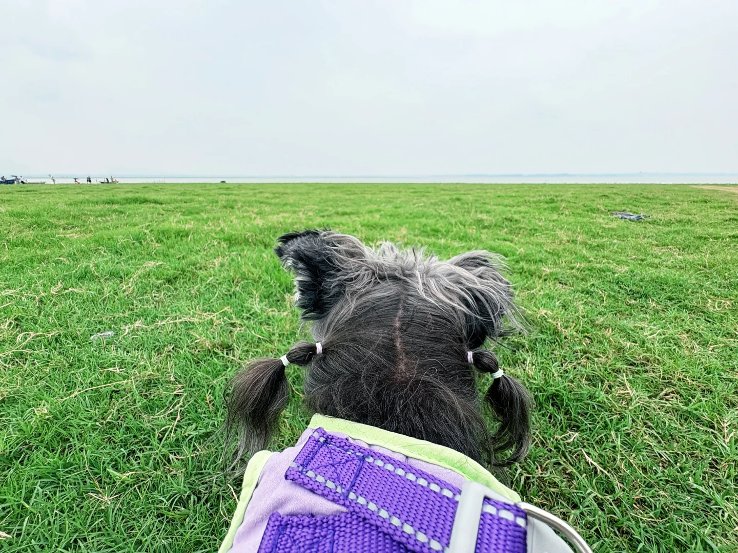 石家庄及周边宠物友好景区(新增柳仙谷)