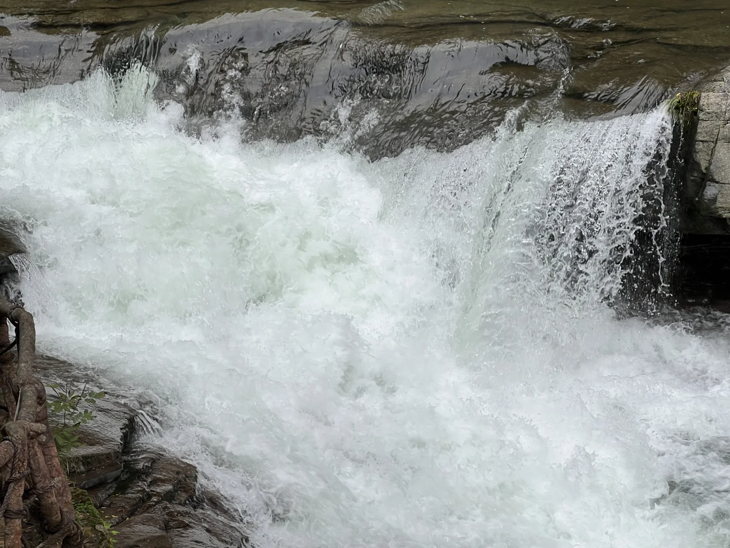 黎坪国家森林公园