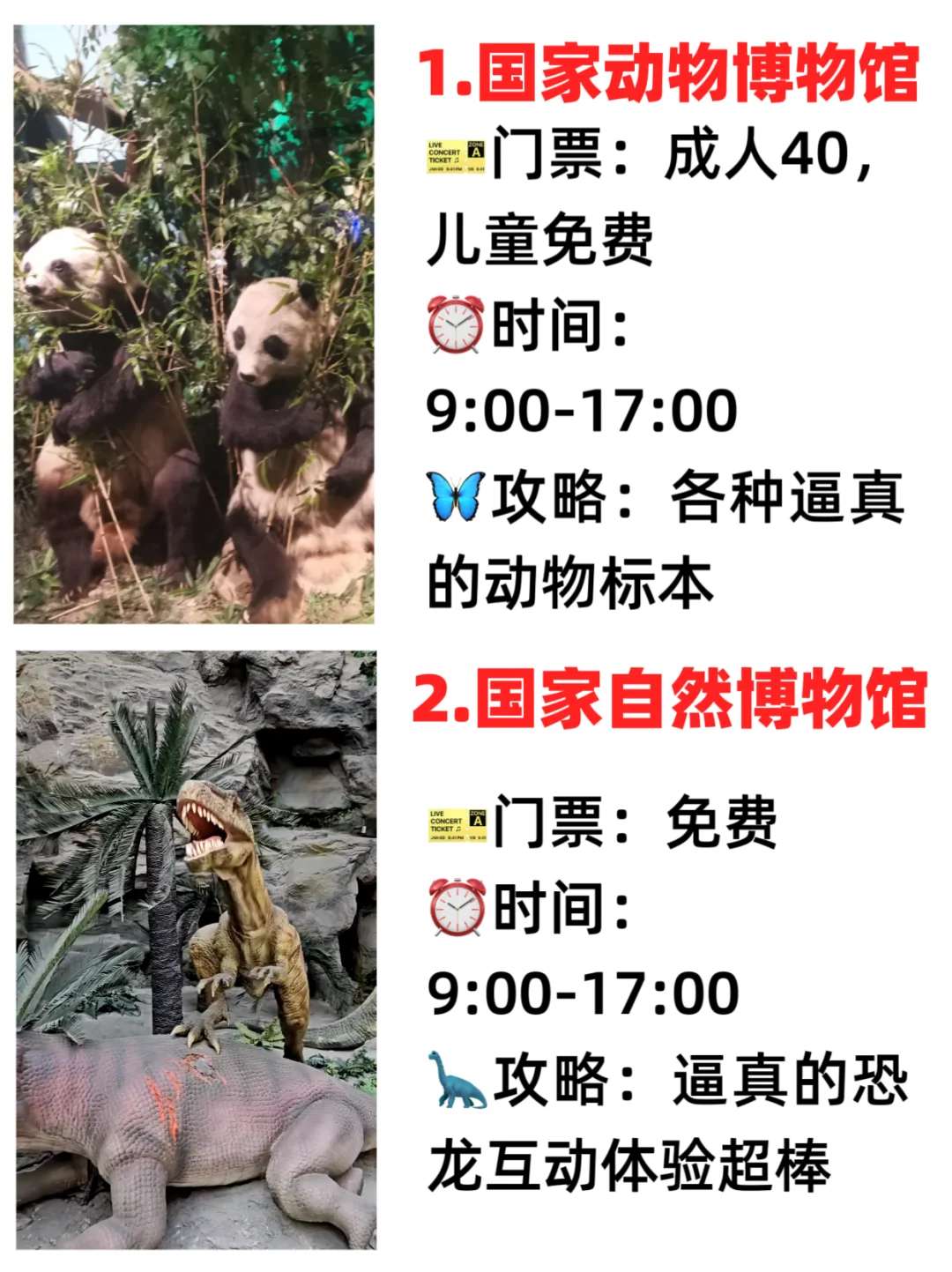 🔥【北京博物馆遛娃攻略】2-10岁必看!