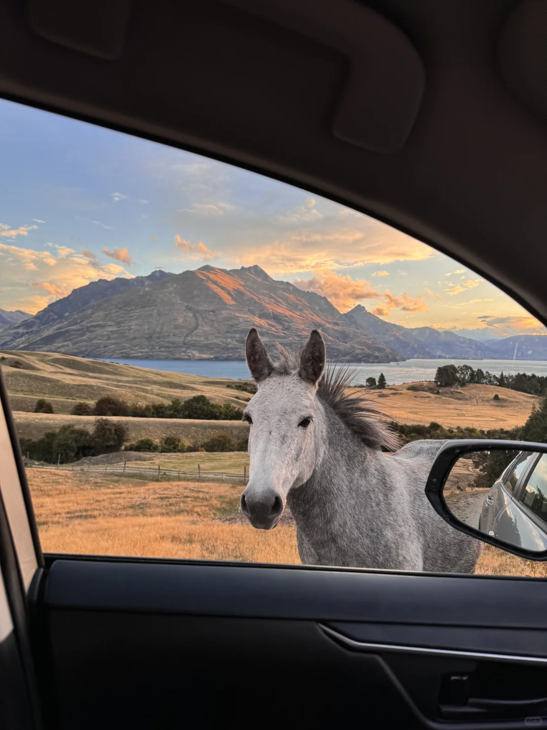 旅行结算｜我的年度live图