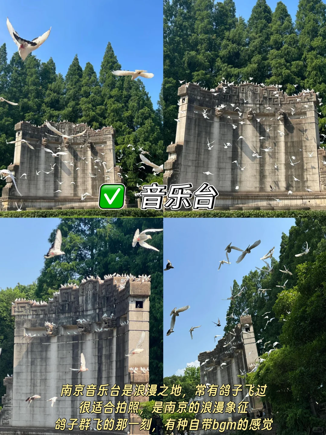 南京📍两天一夜｜不绕路懒人版保姆级攻略