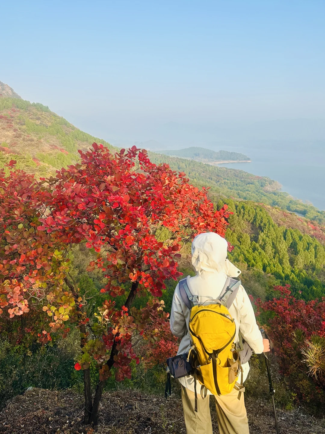 接下来，北京这个半红半绿登山步道将美成画
