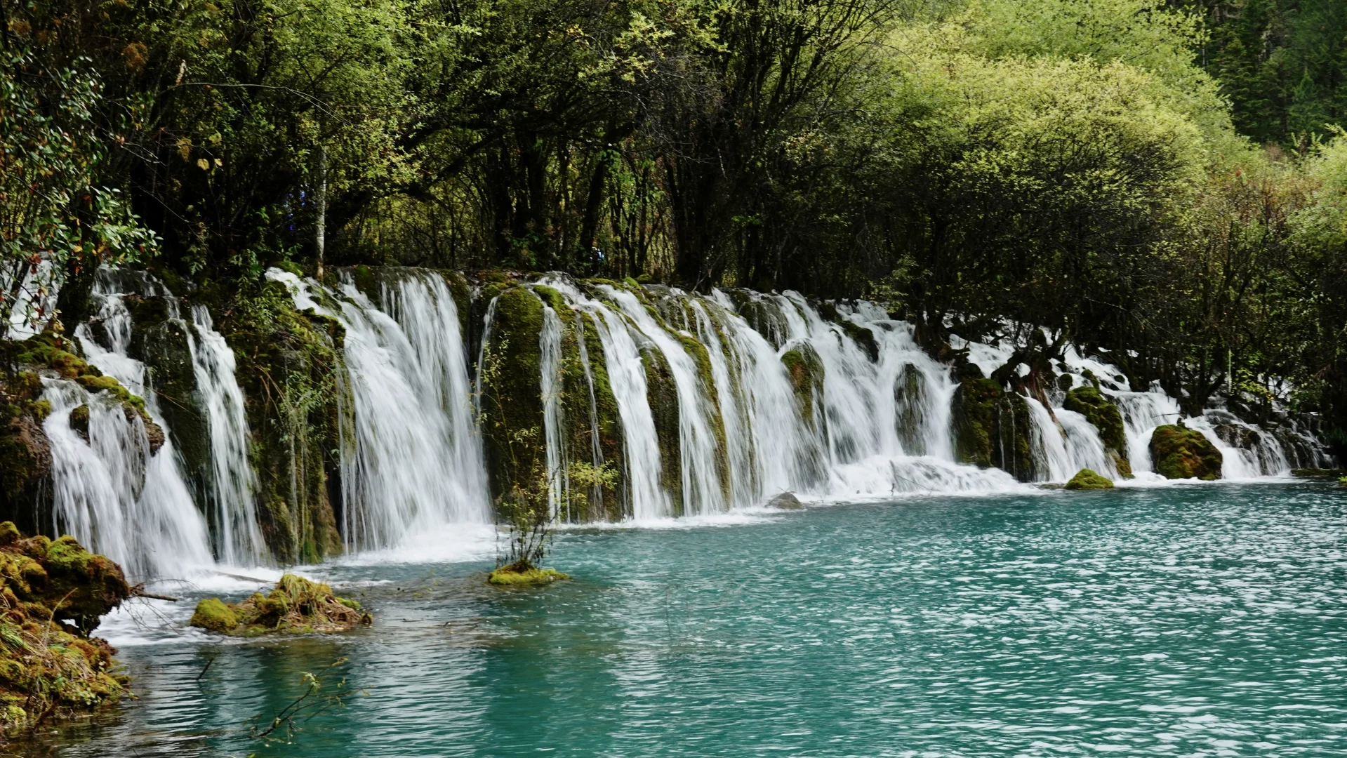 九寨沟·箭竹海瀑布