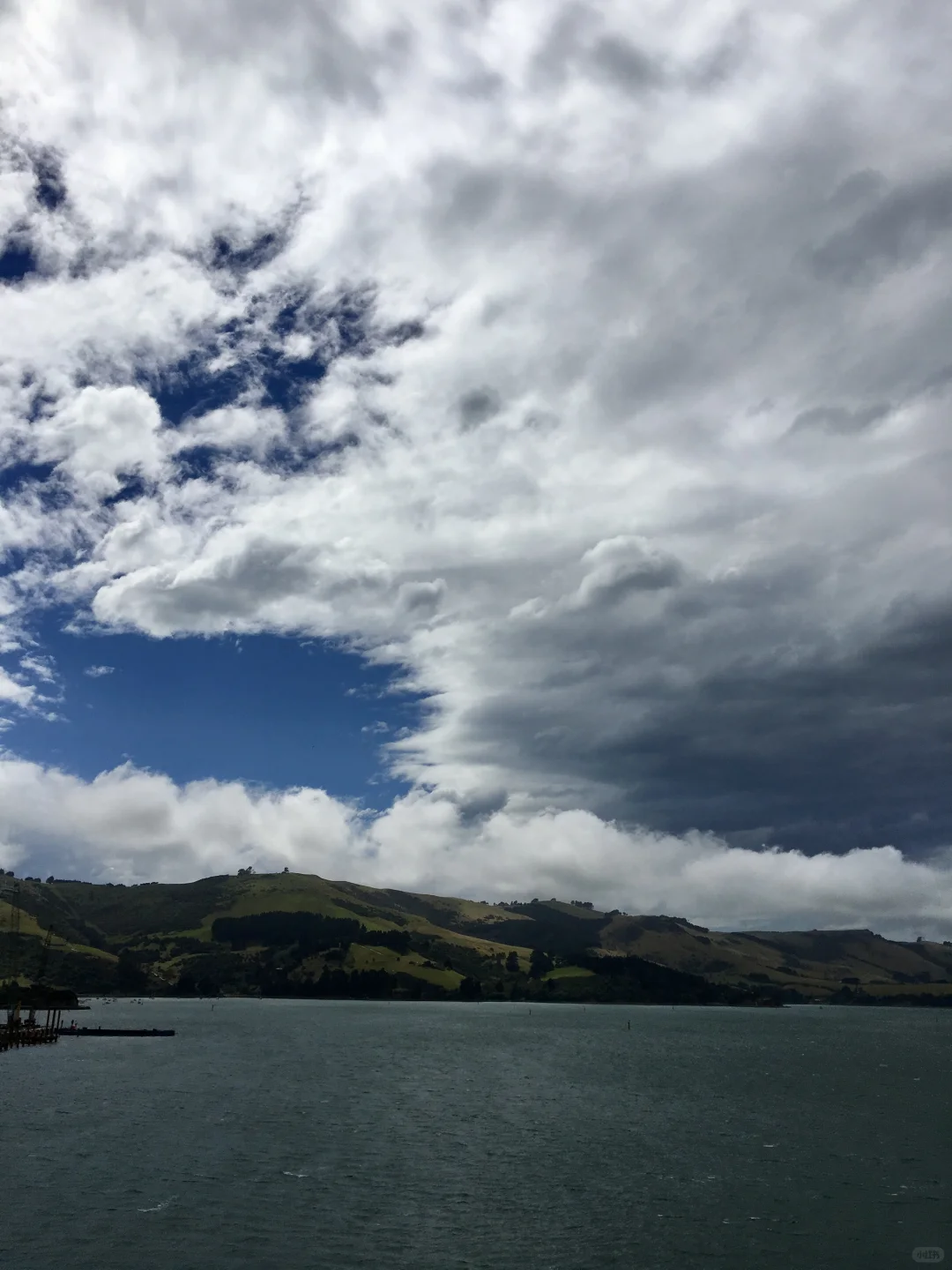 🇳🇿 新西兰达尼丁 Dunedin, New Zealand