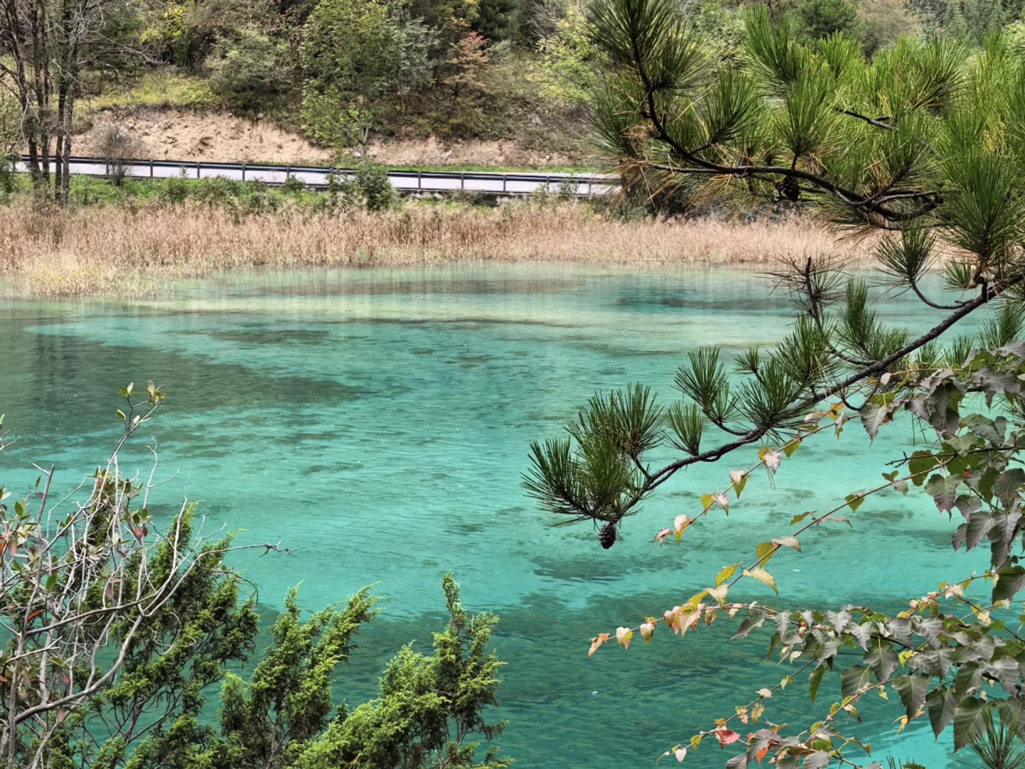不用匆匆忙忙早起赶九寨沟！