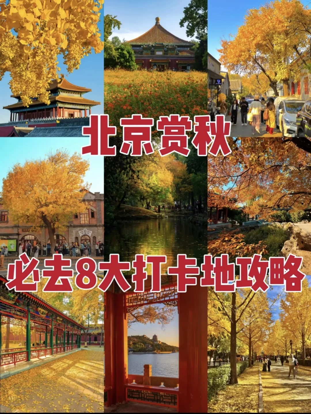 真的太美了,最美金秋!!!