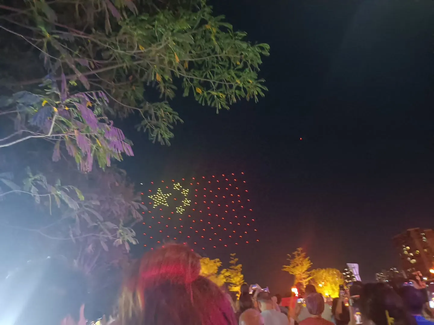 灯汇天下，龙舞盐都