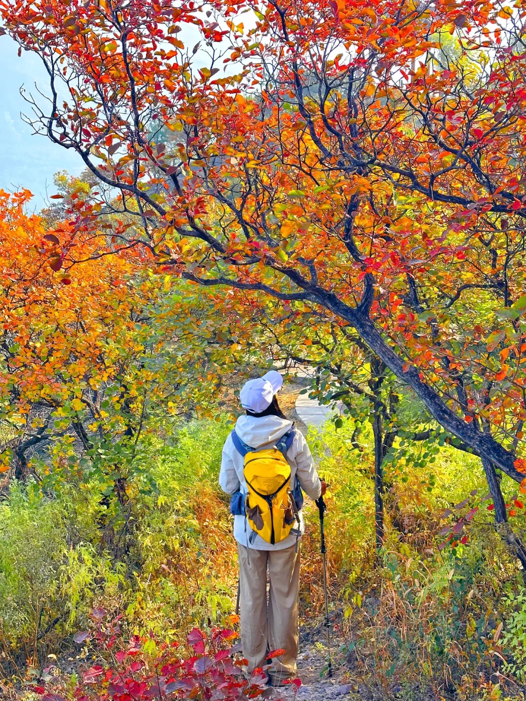 接下来，北京这个半红半绿登山步道将美成画