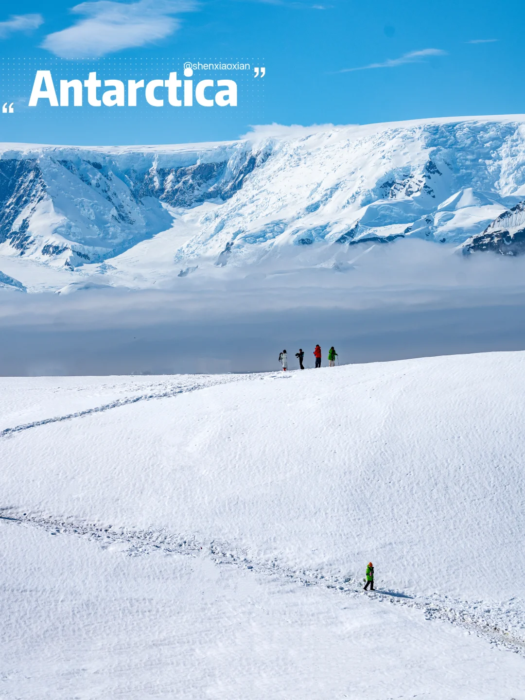 买了新手机，又花了15w，辞职去南极‼️