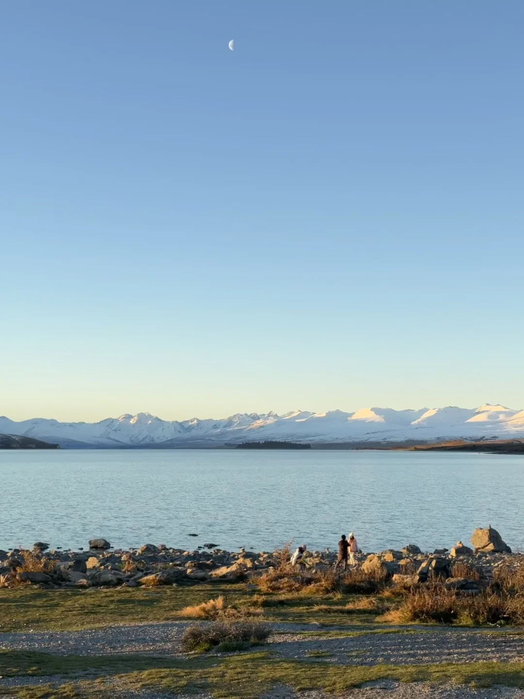 听xhs劝了，报了个新西兰半自由行团（无广