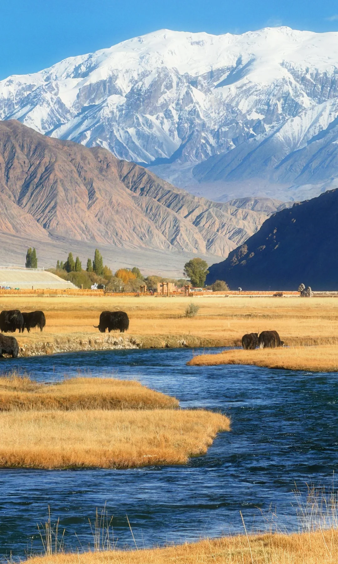 全屏live | 南疆秋天最好的地方都是免费的