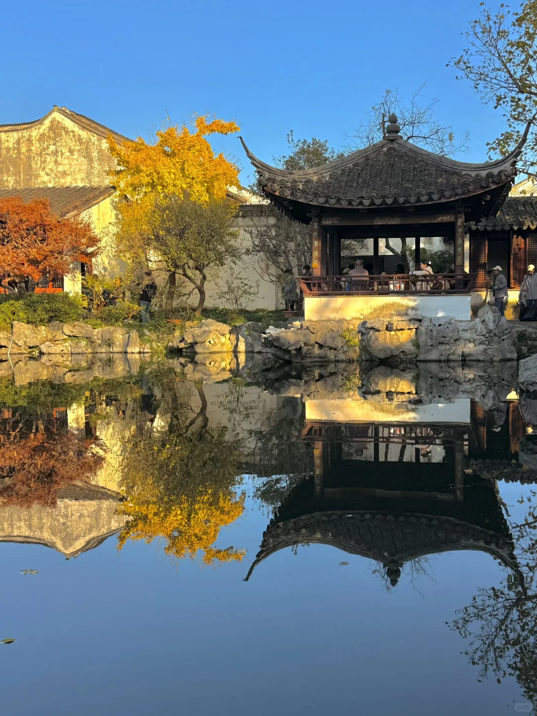 18张live图🍁告诉你苏州秋天有多美！！！！！！！