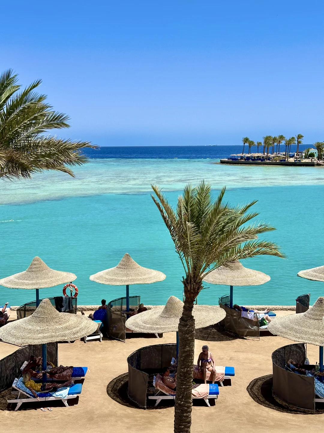 埃及赫尔格达躺平2天live实况｜度假天堂🏖️