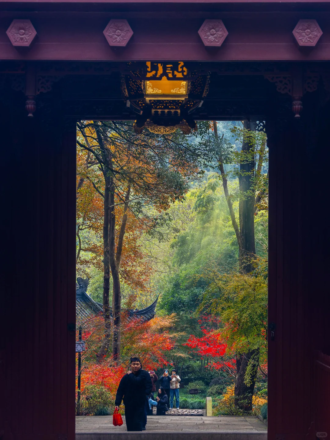 杭州最美的秋景都是免费的🍂附机位!