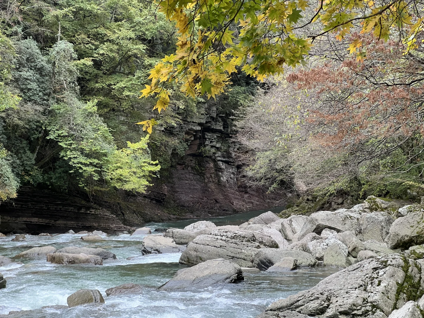 黎坪国家森林公园