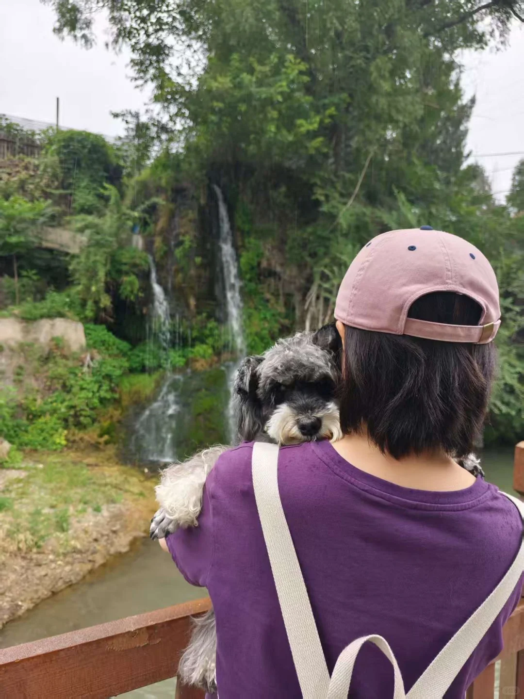 石家庄及周边宠物友好景区(新增柳仙谷)