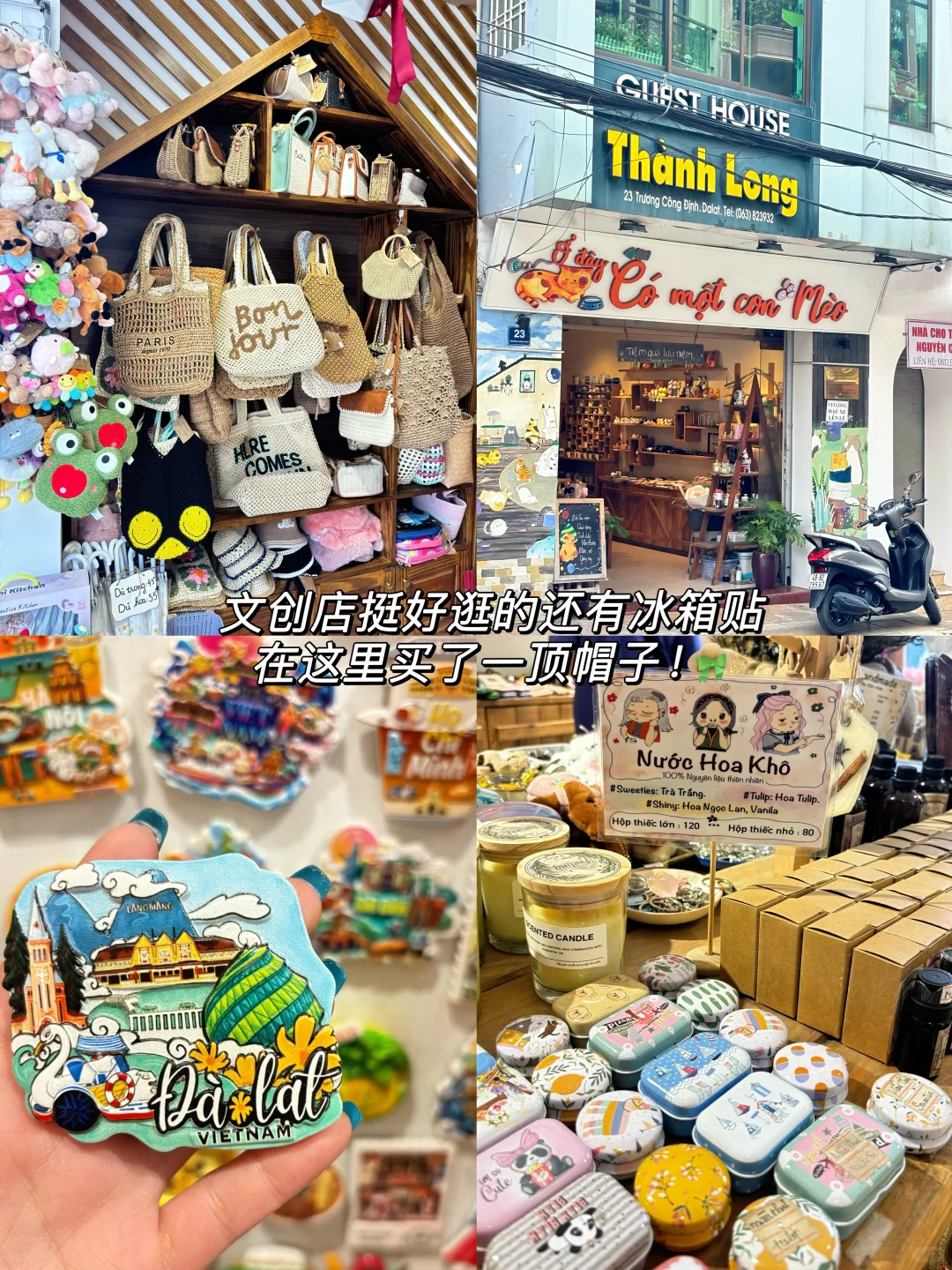 越南大叻｜3天3晚的保姆级吃喝玩乐🇻🇳合集