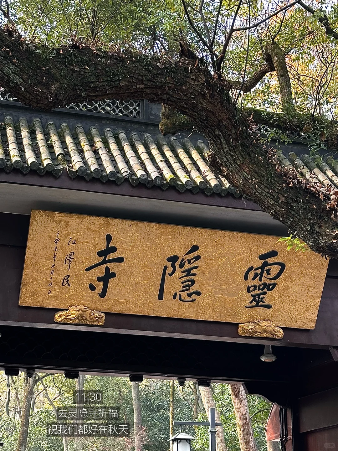 i人7:00起床杭州旅游🛶高能量的16h(12件事