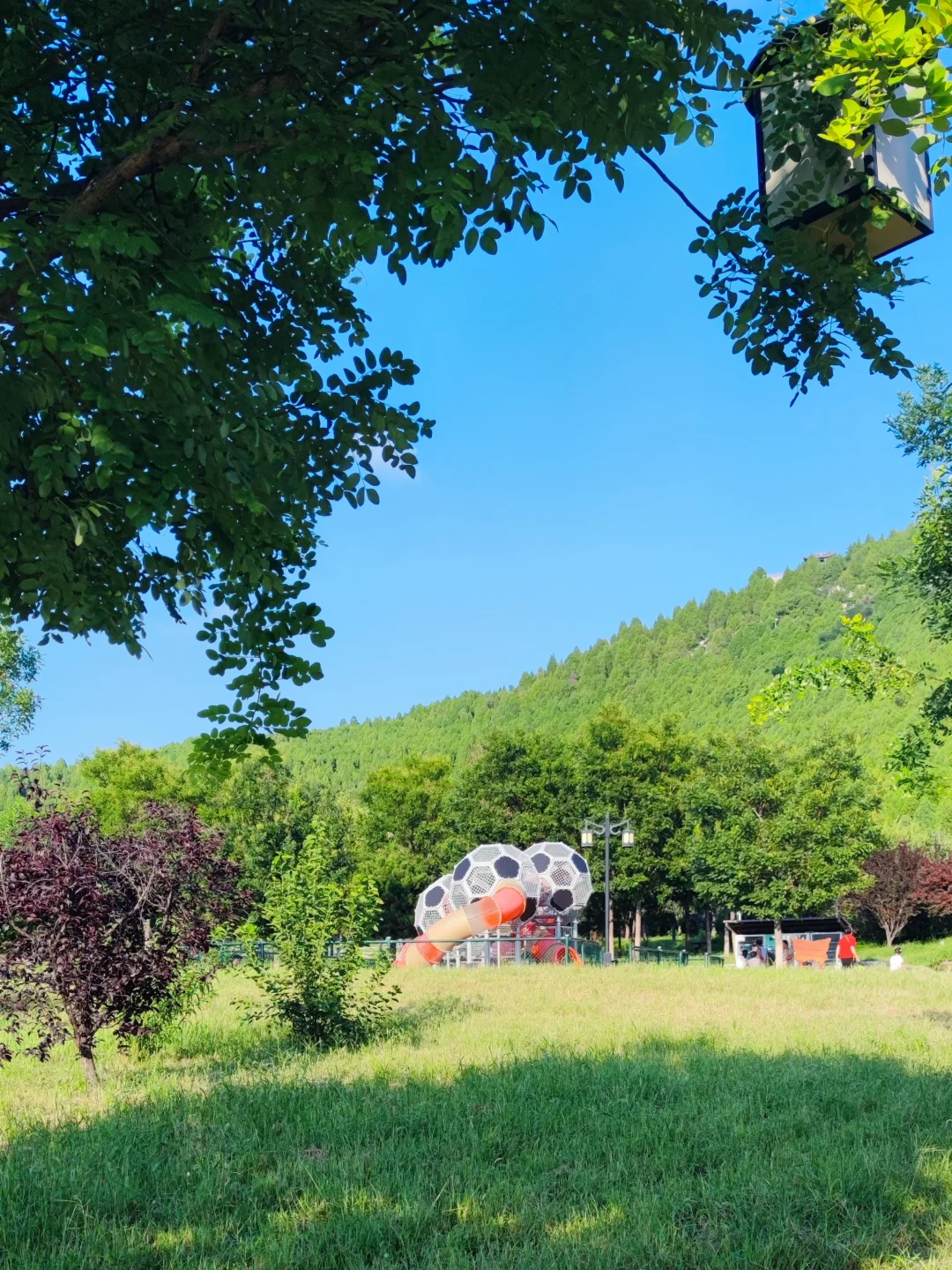 济南长清这个公园太好逛了!🌳附详细攻略