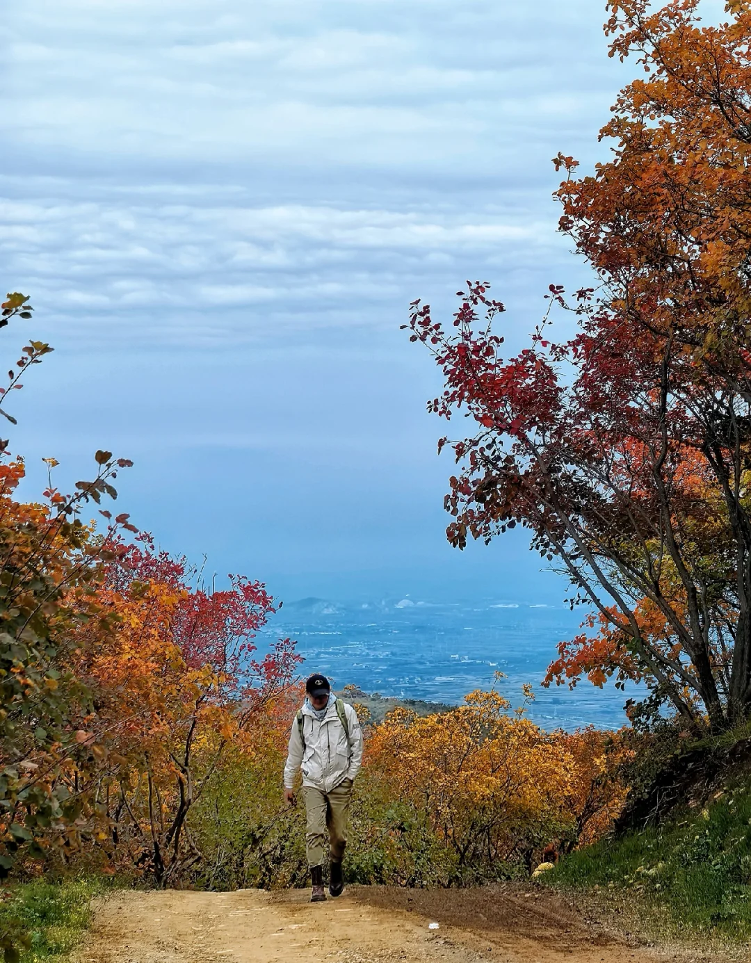 邯郸周边游：佛照山赏绝美红叶