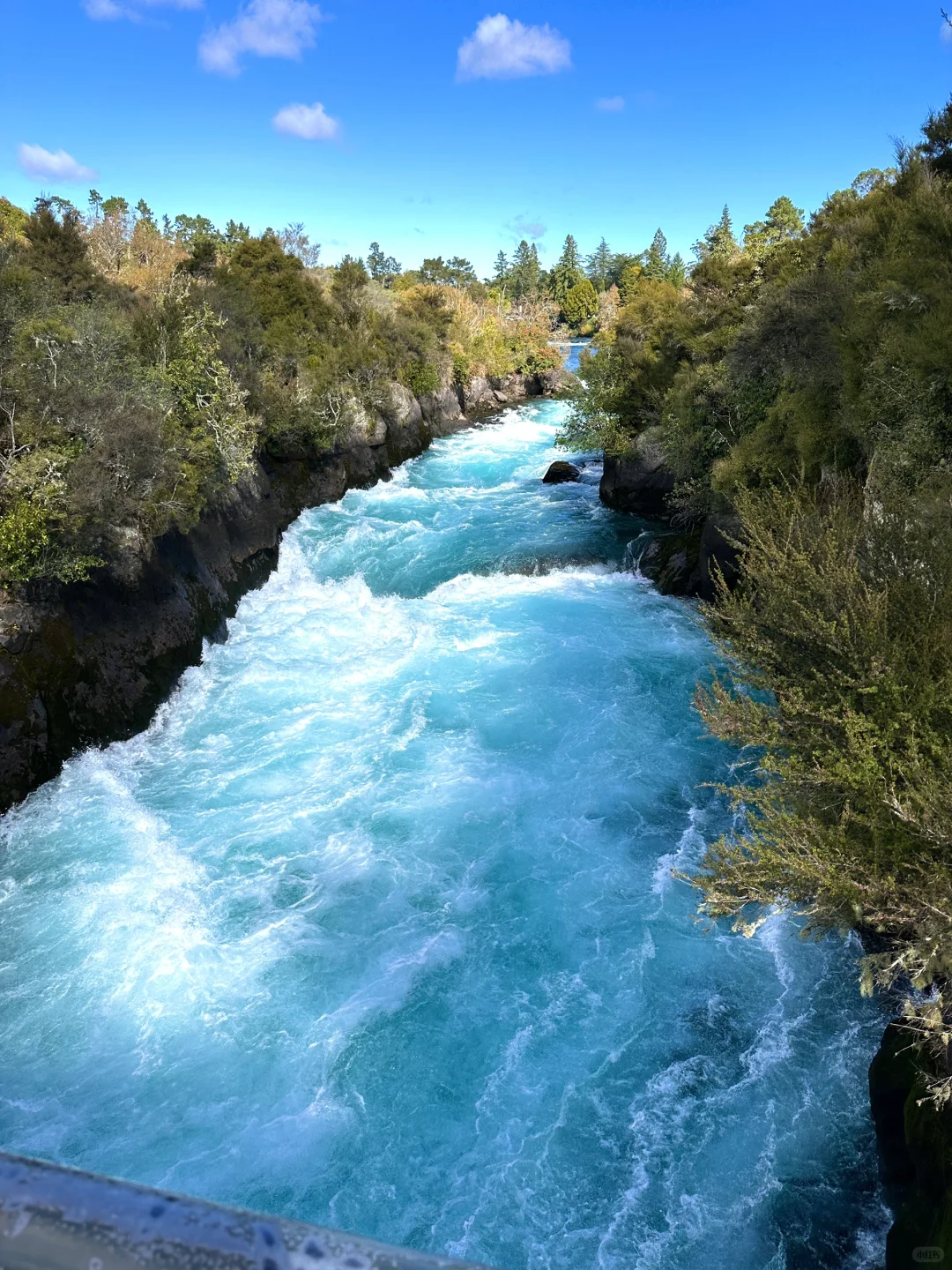 旅行结算｜我的年度live图