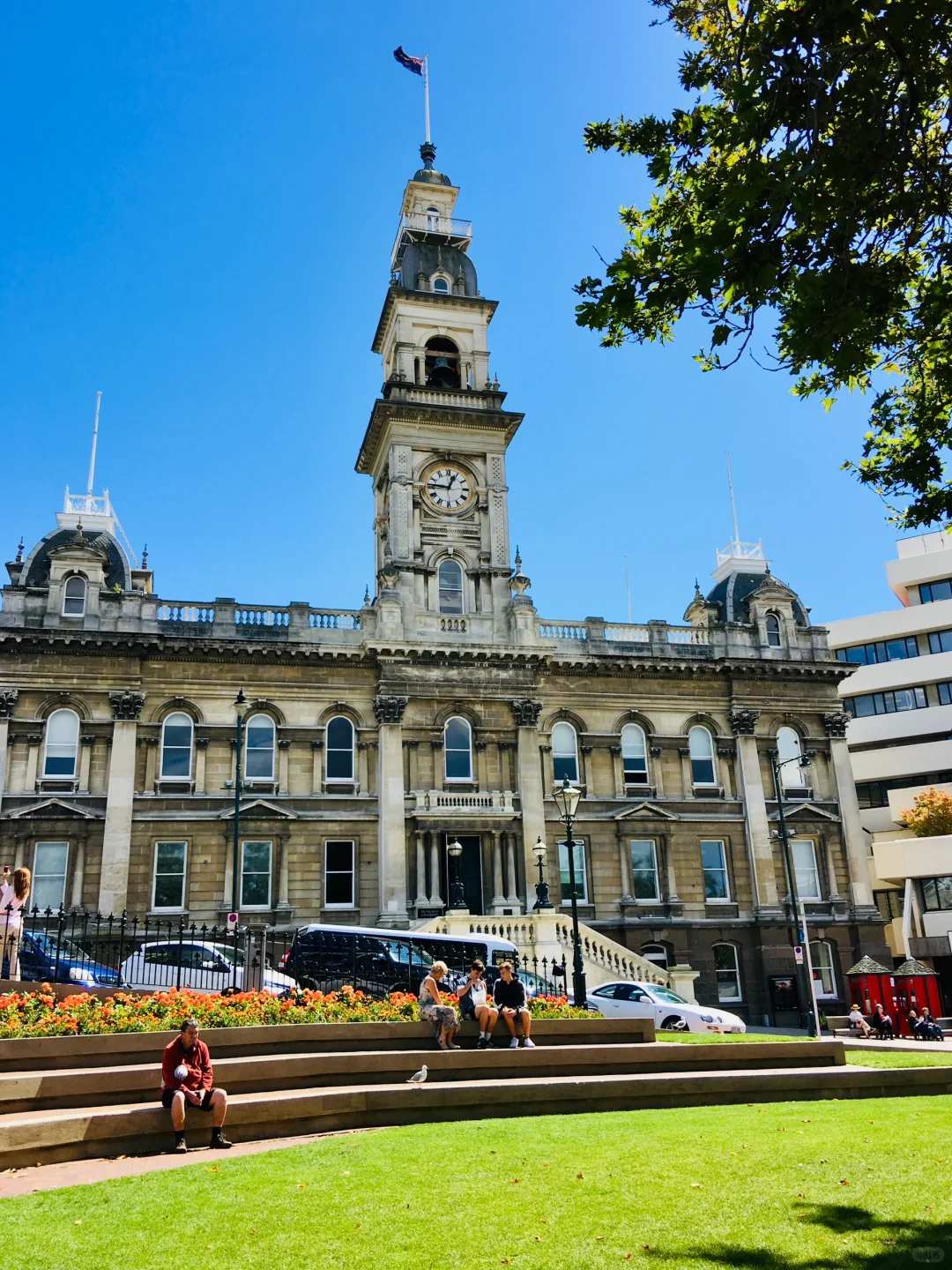 🇳🇿 新西兰达尼丁 Dunedin, New Zealand