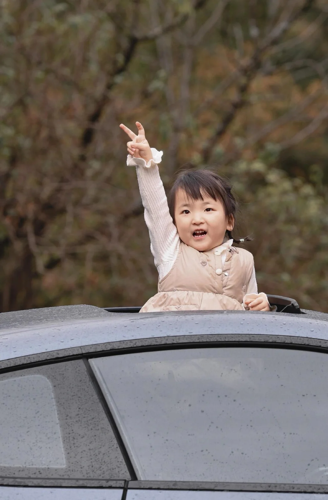 走吧！去看秋天的红叶！