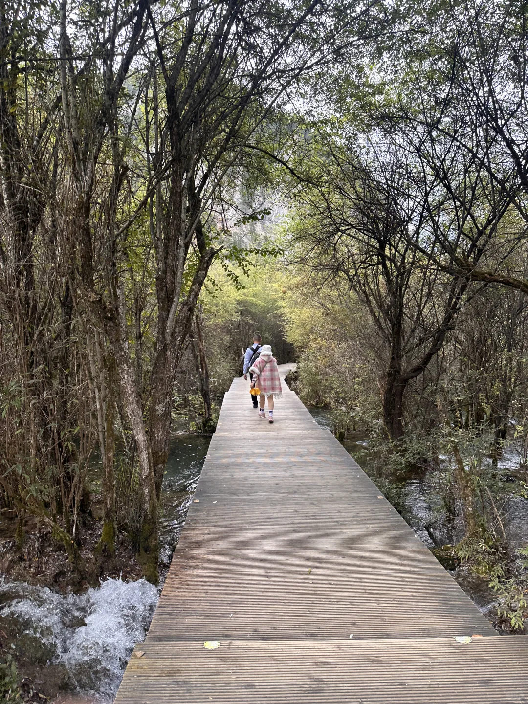 九寨沟避堵路线,把旺季当成淡季玩⛰️