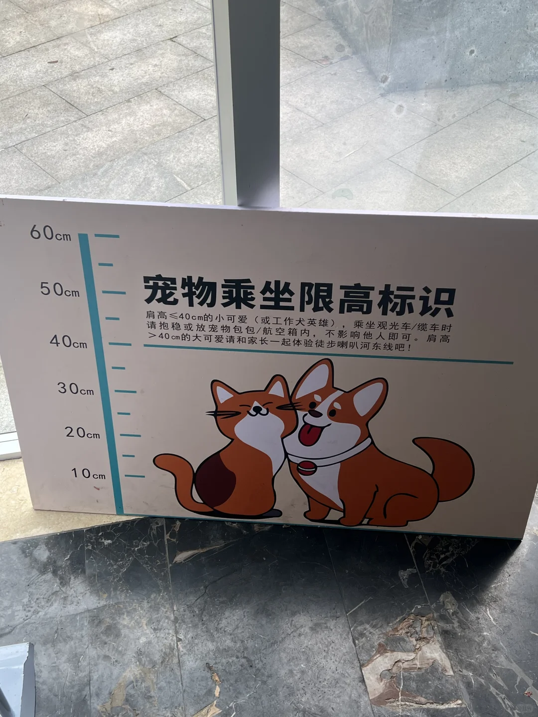 带狗狗去喇叭河的注意了⚠️看完这篇不踩雷